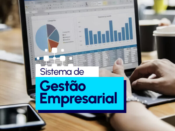 O Que é um Sistema de Gestão Empresarial?